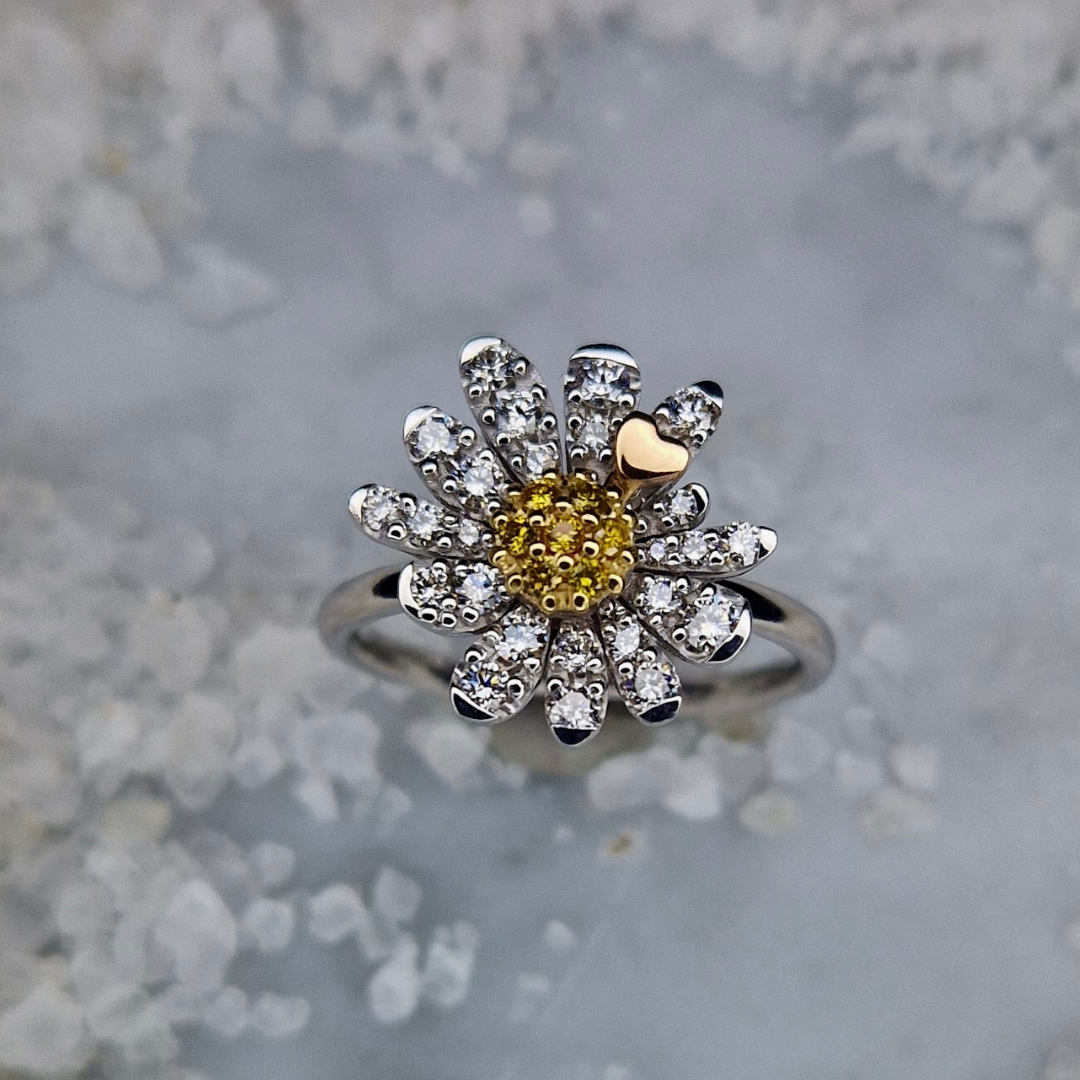 Anello Motivazionale