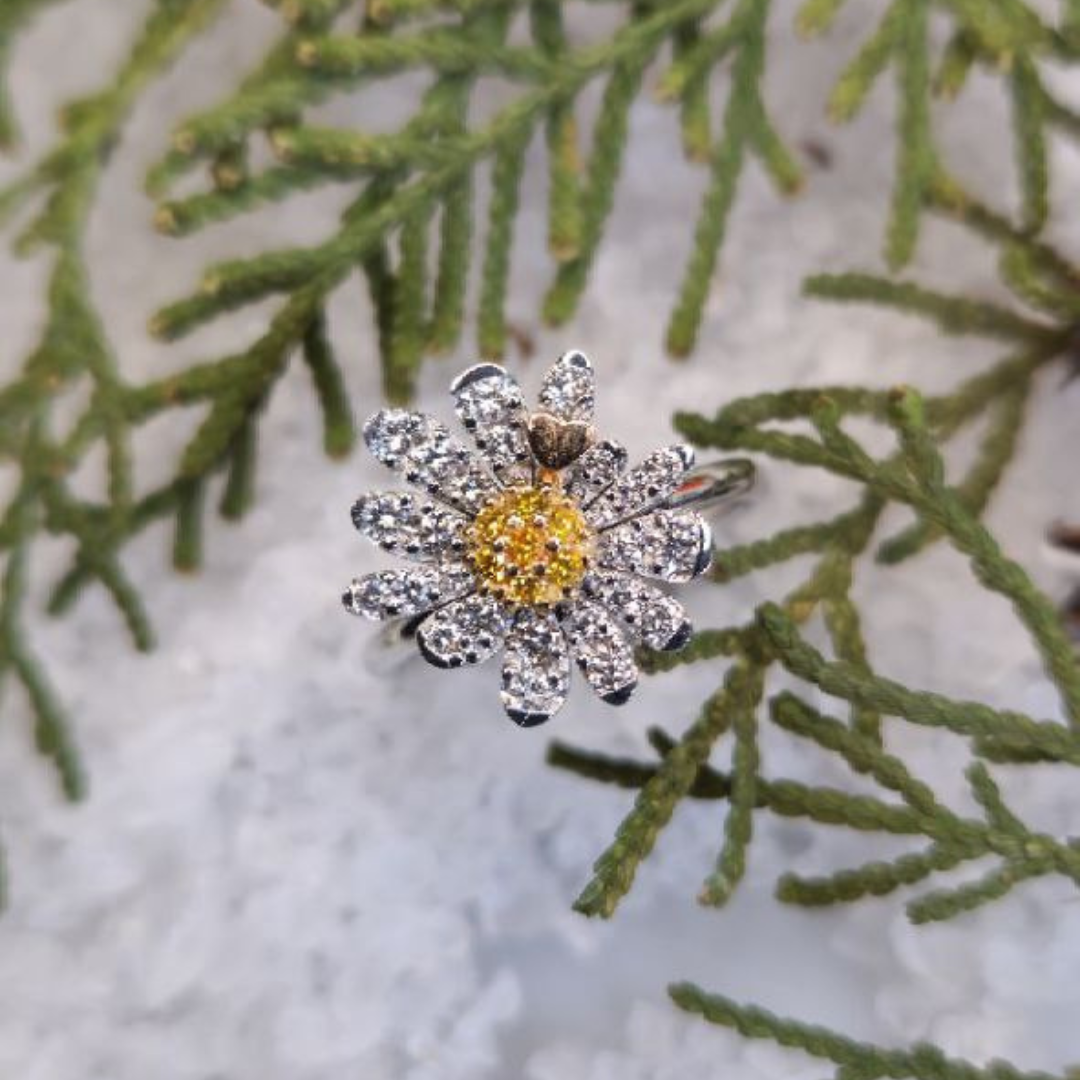 Anello Motivazionale