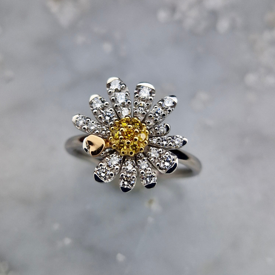 Anello Motivazionale