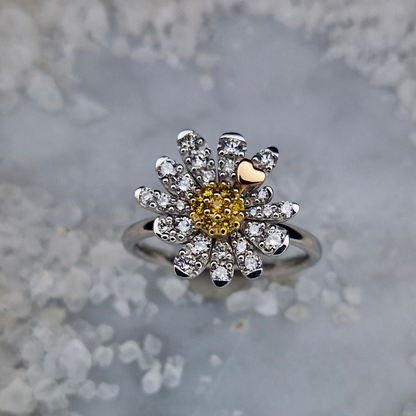 Anello Motivazionale