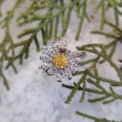 Anello Motivazionale