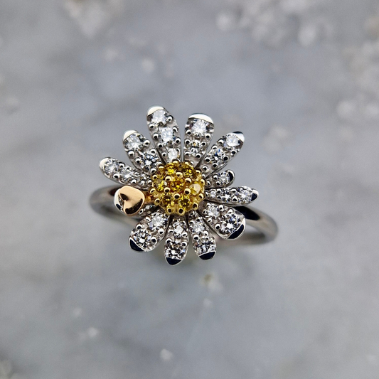 Anello Motivazionale